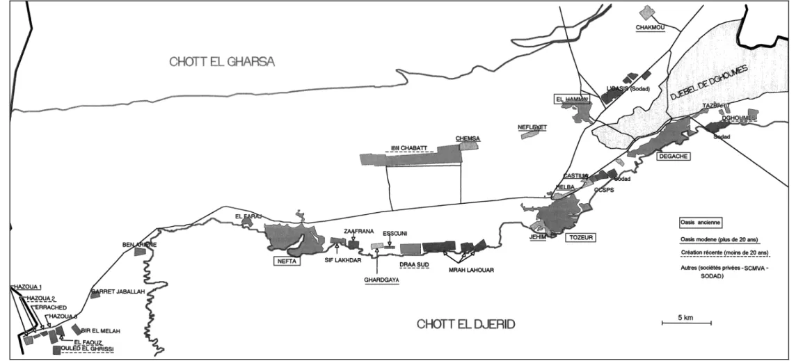 Figure 5 : Carte traditionnelle de la région du Jérid 