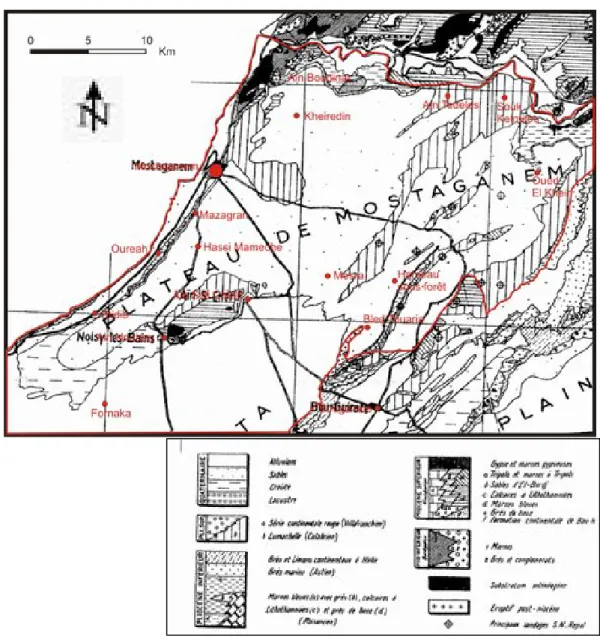 Fig. 8b : Localisation du Plateau de Mostaganem (PERODON, 1957) 