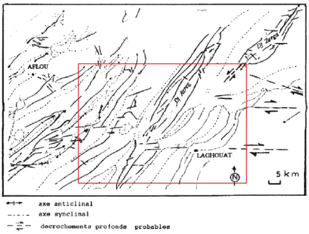 Fig. 08: Cadre structural de la région de  Laghouat. (notice explicative de la carte au1/200000  de Laghouat, inédit)