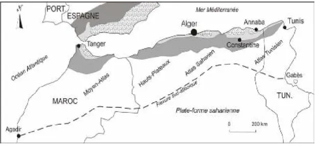 Fig. 01 : carte de l’Atlas Saharien dans son cadre régional. 