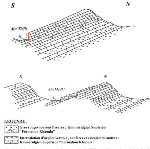 Fig. 60: Conditions d'émergence de la source d'Ain Tlélis (0,5 l/s) et d'Ain Madhi (4 à 5  l/s) 