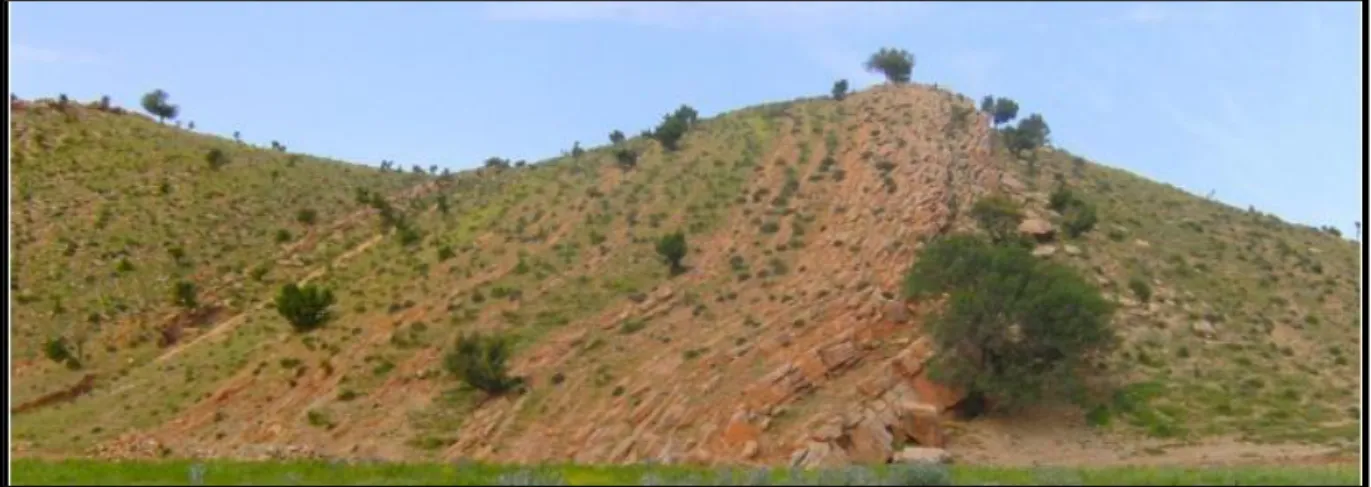 Fig. 62 : Forage  X:472,82       Y : 357,88            Z : 886 m 