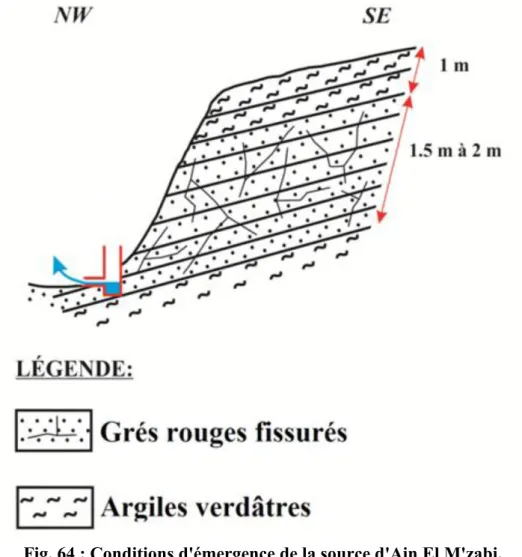 Fig. 64 : Conditions d'émergence de la source d'Ain El M'zabi. 