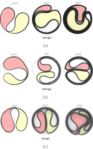 Fig. 2.5 – Evolution du motif de l’anneau de gel lors de la croissance. La première image de chacune des séquences de trois images est la configuration initiale dans laquelle l’anneau est préparé