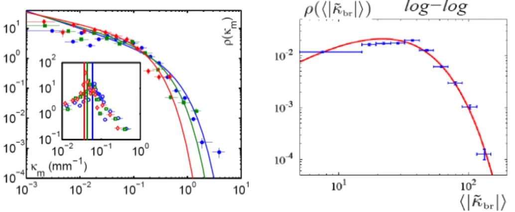 Fig. 3.24 – (a) Compaction conique : densité de probabilité de courbure des branches du volume qui ne sont pas en contact avec les parois du trou (graphe principal) et de la périphérie, en contact avec les parois (inset)