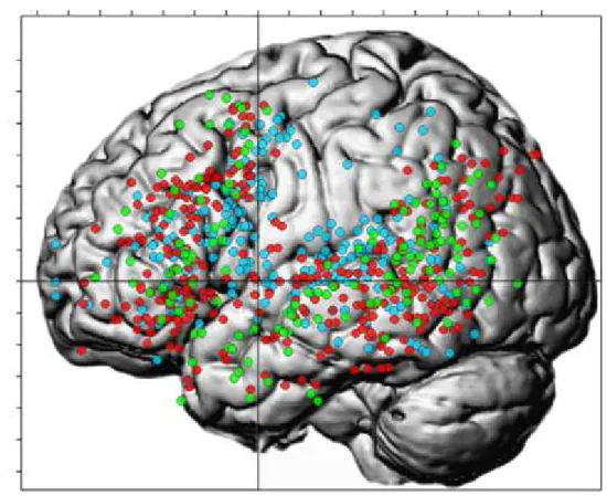 Figure 9. Vue d’ensemble des pics inclus dans la méta-analyse. 