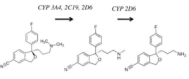 Figure 2. Métabolisme du citalopram 