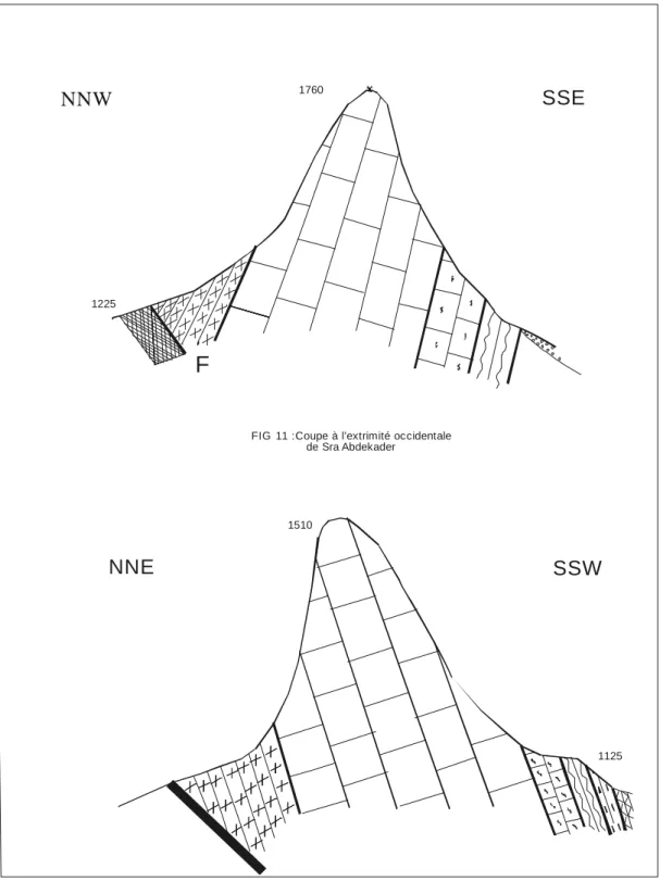FIG 11 :Coupe à l’extrimité occidentale de Sra Abdekader