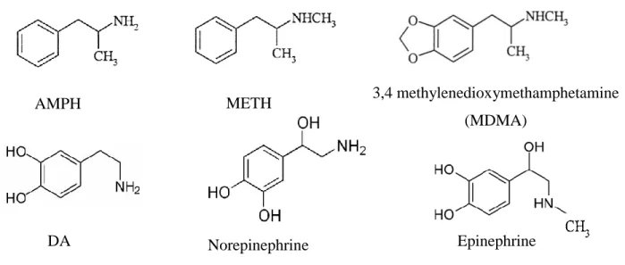 Figure 2 Structural comparison of METH, AMPH derivatives and catecholamines 