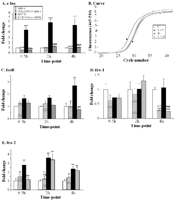Fig.  1.  Effects  of  METH  and  SCH23390  on  the  expression  of  the  fos  family  genes