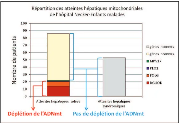Figure  17 :  Répartition  des  atteintes  hépatiques  mitochondriales  isolées  et  syndromiques  parmi  notre  cohorte de patients de l’hôpital Necker-Enfants Malades