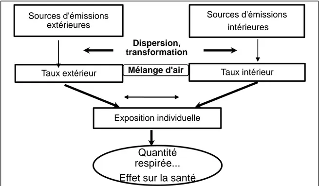 Figure 1 : Schéma d’évaluation de l’exposition au risque sanitaire d’un polluant.  (Beltrando, 2014)