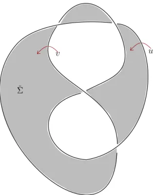Figure 3.3 – The figure-eight knot, with a non orientable checkerboard surface ˇ Σ, and generating loops u, v of its fundamental group