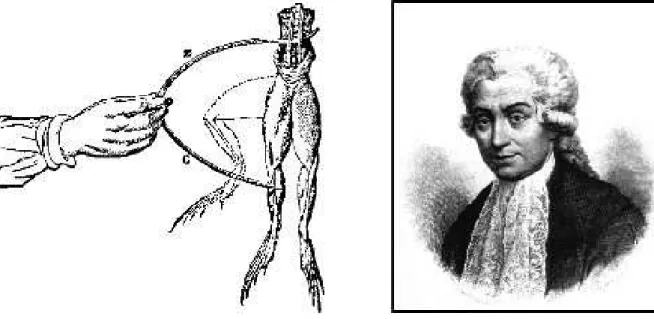 Figure 2.6: Représentation de l’expérience de Galvani, qui lui a permis de découvrir l’électricité animale (gauche)