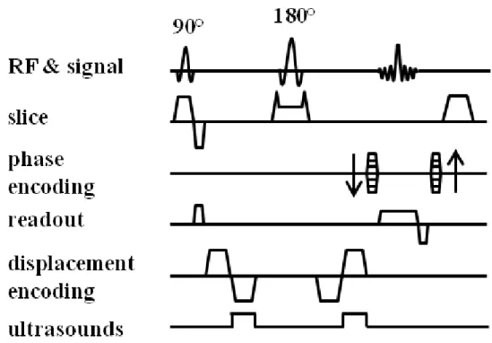 Figure 1.12: Diagramme de la séquence MR ARFI  d’écho de spin 2D. Les tirs ultrasonores  sont synchronisés avec la seconde moitié du gradient d’encodage des déplacements