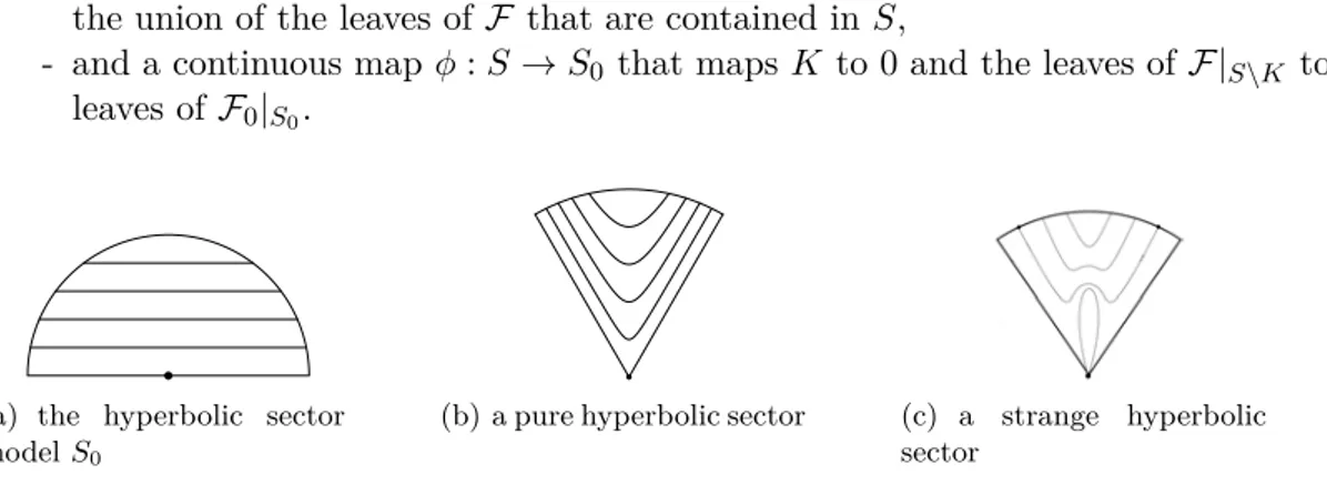 Figure 2.1: The hyperbolic sectors