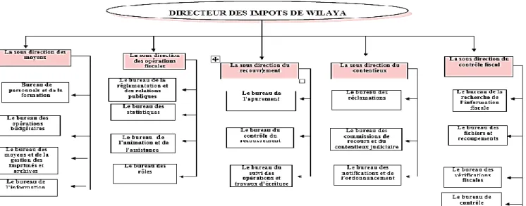 Figure n°3 : organigramme de la DIW de TO 