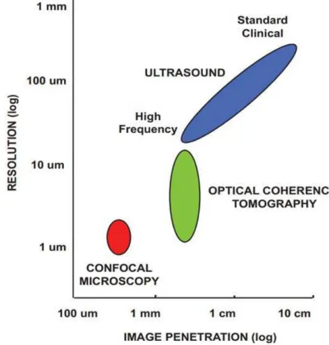Figure 1.3 – Comparison of resolution and imaging depth for ultrasound, OCT and confocal mi- mi-croscopy [12].