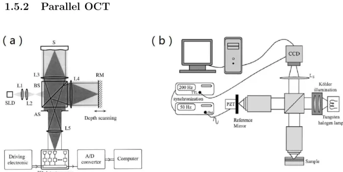 Figure 1.8 – Schematic of parallel OCT techniques. (a)Wide-field OCT with spatially coherent illu- illu-mination like SLD [65]