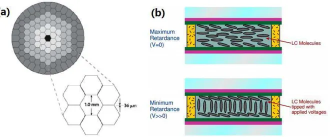 Figure 2.4 – Transmissive liquid crystal spatial light modulator [92]. (a)Hexagonal SLM pixel ge- ge-ometry with 127 pixels; (b)Liquid crystal variable retarder construction showing molecular alignment without and with applied voltage.