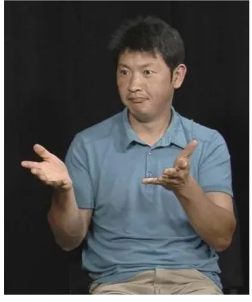 Figure 2. – Example of  PALM - UP .