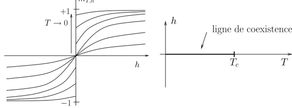 Figure 1 et on remarquera en particulier l’influence de la temp´erature sur les courbes : `a basse temp´erature et en dimension d &gt; 2, l’aimantation pr´esente une discontinuit´e en h = 0