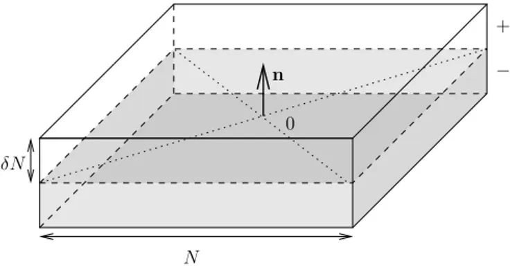 Fig. 3. Le parall´el´epip`ede R N et son bord inf´erieur.