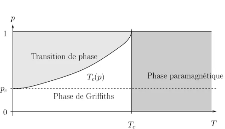Fig. 4. Le diagramme de phase du mod`ele d’Ising dilu´e