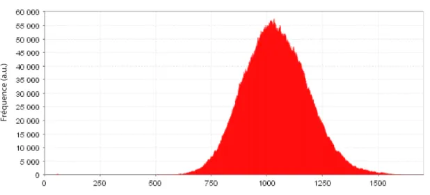 Fig. 2.2: Histogramme du nombre de protéines exprimées selon le schéma d’expression de la figure 2.1 
