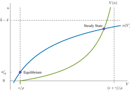 Figure 3 : A Unique Steady State for the Optimal Allocation when n ∗ eq > 0