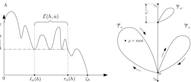 Figure 1.3 – The figure on the left hand side illustrates the definition of E(h, a). The figure on the right hand side represents the spinal decomposition of H at times t 0 and t 1 in terms of the tree T coded by H.