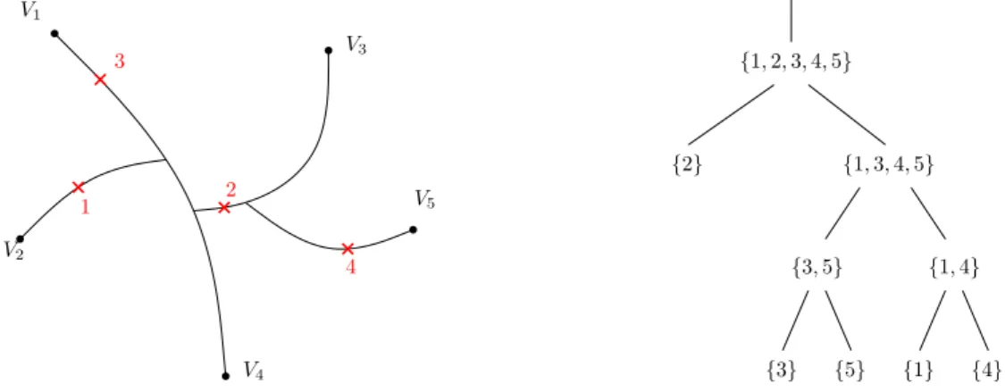 Figure 1.5 – On the left, the subtree of T spanning the leaves V 1 , V 2 , . . . , V 5 