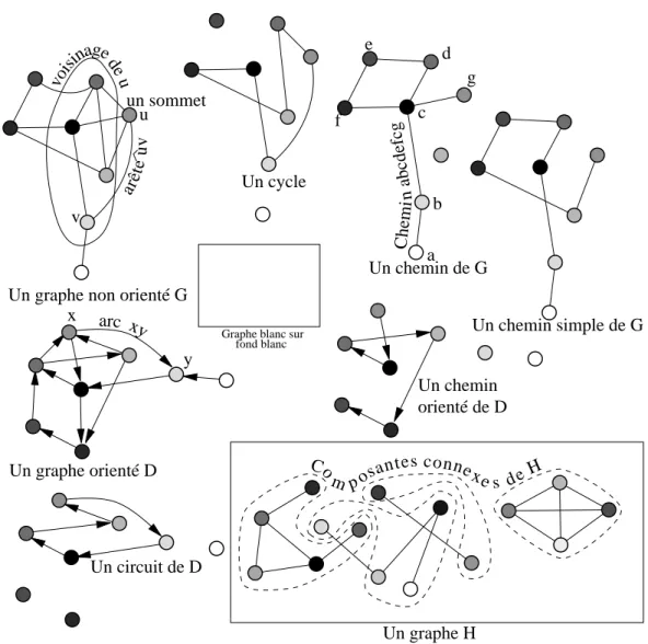 Fig. 2 { Exemples de graphes. Remarquer que D est une orientation (non tran-