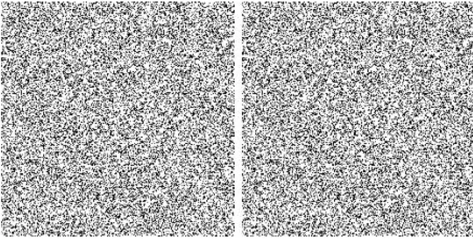 Figure 1.3.1: Figure representing a random-dot stereogram (RDS) as can be found in Julesz’s  famous book “Foundations of cyclopean perception”