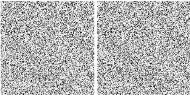 Figure 1.3.1: Figure representing a random-dot stereogram (RDS) as can be found in Julesz’s  famous book “Foundations of cyclopean perception”