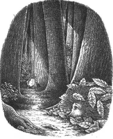 Figure 3. – Image source : Pochée, p. 49.