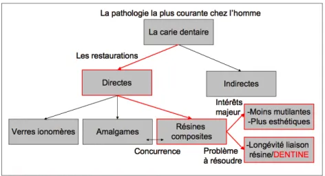 Figure 1.5 – Schéma illustrant le contexte et l’intérêt d’étudier les résine composites