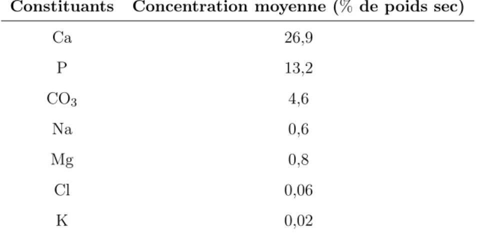 Tableau 1.4 – Concentration moyenne des diﬀérents constituants des cristaux d’hydroxyapatite de la dentine selon Driessens ([DV90])