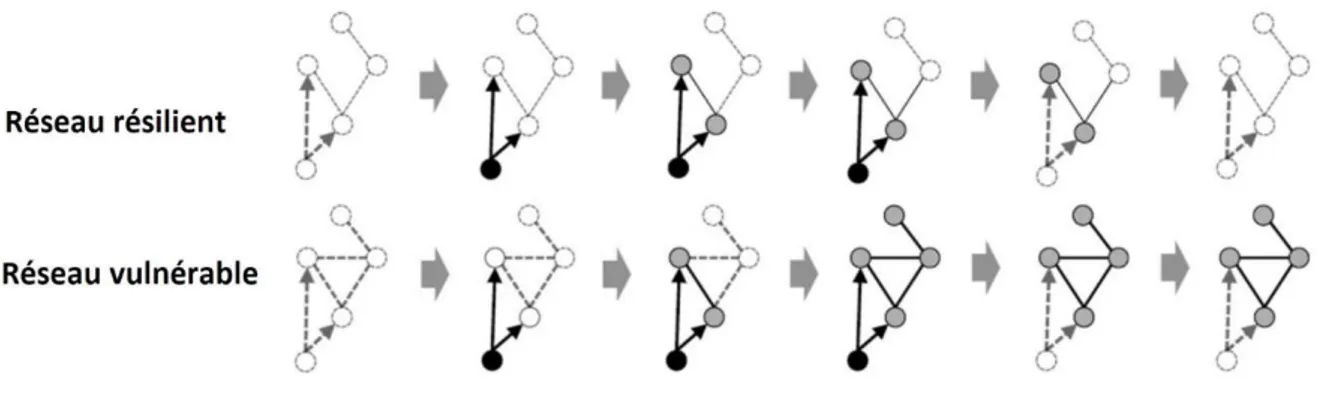 Figure 10. Comparaisons des réseaux résilients et vulnérables aux troubles mentaux. Le réseau  résilient montre peu de connections entre les différents symptômes