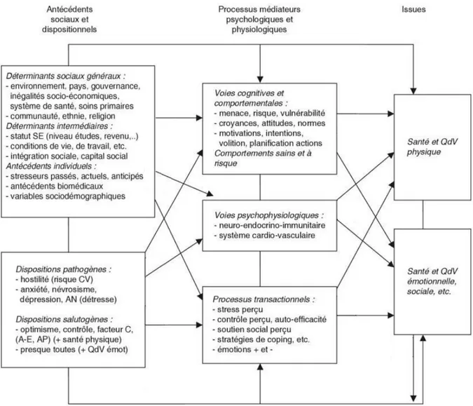 Figure  3.  Modèle  transactionnel  intégratif  et  multifactoriel  (TIM).  Les  effets  des  antécédents sociaux et dispositionnels sur la santé et la qualité de vie peuvent être directs