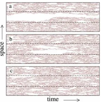 Fig. 1.3 – Formation d’h´et´erog´en´eit´es dynamiques dans un mod`ele cin´etiquement