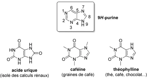 Figure 1 – Quelques exemples de molécules naturelles 