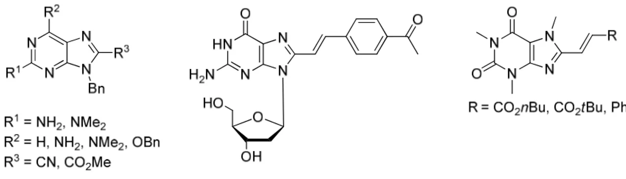 Figure 13 – Exemples de purines fluorescentes
