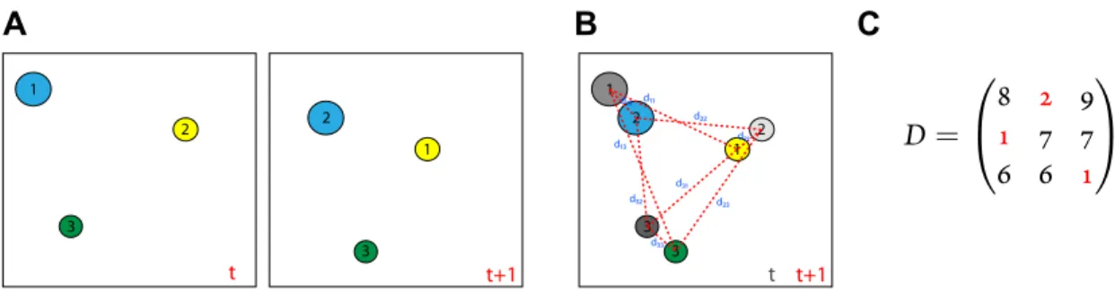Figure : Celltracking problem. (A) Illustration of two consecutive images of three cells