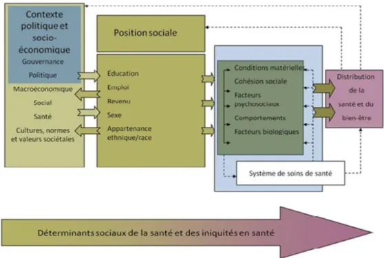 Figure  3.  Modèle  des  déterminants  sociaux  de  la  Commission  sur  les  déterminants  sociaux de la santé de l’Organisation mondiale de la santé, modifié d’après Solar O et  Irwin A (2007)