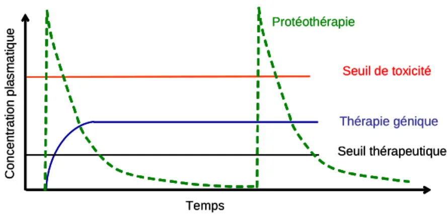 Fig. 10 – Principe de la sécrétion ectopique de protéines : avantage pharmacociné- pharmacociné-tique