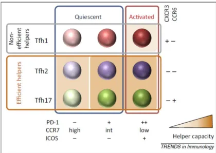 Figure 4: Combination of five surface  markers  identifies  nine  subsets  of  memory Tfh cells in human peripheral  blood 