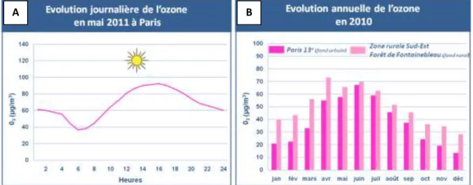 Figure 5. Evolution journalière (A) et annuelle (B) de la concentration en ozone à Paris et en région parisienne