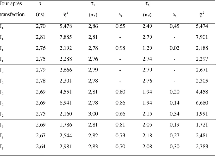 Table IV. 4 : Durées de vie de la GFP en fonction du temps après transfection. Jour après transfection τ (ns) χ 2 τ 1 (ns) a 1 τ 2 (ns) a 2 χ 2 J 1 2,70 5,478 2,86 0,55 2,49 0,45 5,474 J 1 2,81 7,885 2,81 - 2,79 - 7,901 J 1 2,76 2,192 2,78 0,98 1,29 0,02 2,188 J 1 2,75 2,288 2,76 - 2,74 - 2,297 J 2 2,79 2,666 2,79 - 2,79 - 2,671 J 2 2,78 2,301 2,78 - 2,76 - 2,305 J 2 2,69 4,551 2,81 0,80 1,94 0,20 4,458 J 2 2,69 6,941 2,78 0,86 1,94 0,14 6,680 J 2 2,75 2,160 3,00 0,66 2,15 0,34 1,991 J 3 2,69 1,786 2,81 0,81 2,05 0,19 1,721 J 3 2,67 2,544 2,82 0,73 2,18 0,27 2,481 J 3 2,64 2,981 2,83 0,70 2,08 0,30 2,783