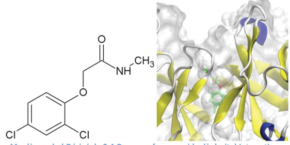 Figure 11 – (à gauche) Dérivé du 2.4-D sous sa forme amide. (à droite) Interaction entre le  2.4-D substitué par un groupement amide et la cible 3cfb 